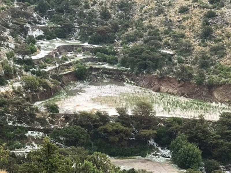 أمطار غزيرة تكسو جبال عسير في السعودية باللون الأبيض